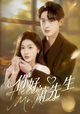 你好，萧先生